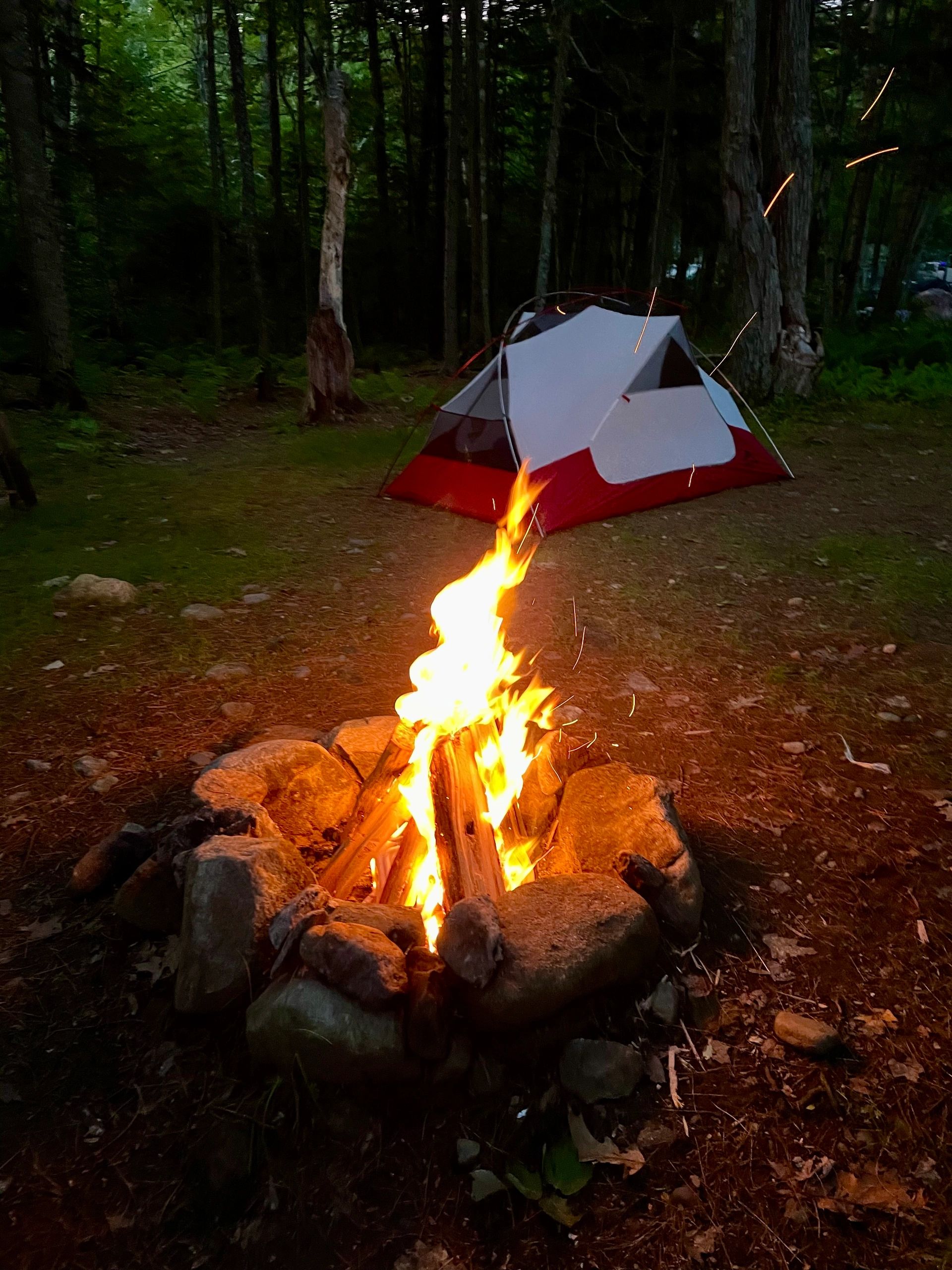 Establishing shot: A campfire in the woods of the Miramichi, as someone begins to tell the tale of The Dungarvon Whooper, the Maritimes' most famous ghost story ... or is that ghost story based on a true story?