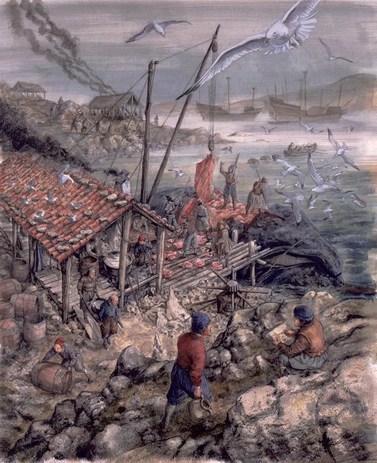 Long before the French or English arrived in Canada, vast numbers of Basques fished the waters. They weren't colonists though, but more like seasonal workers. Each summer, thousands of Basques crossed the Atlantic to work in fishing camps along the shores of Newfoundland, Labrador, Quebec, Nova Scotia, New Brunswick, and PEI. (Canadian Museum of History)
