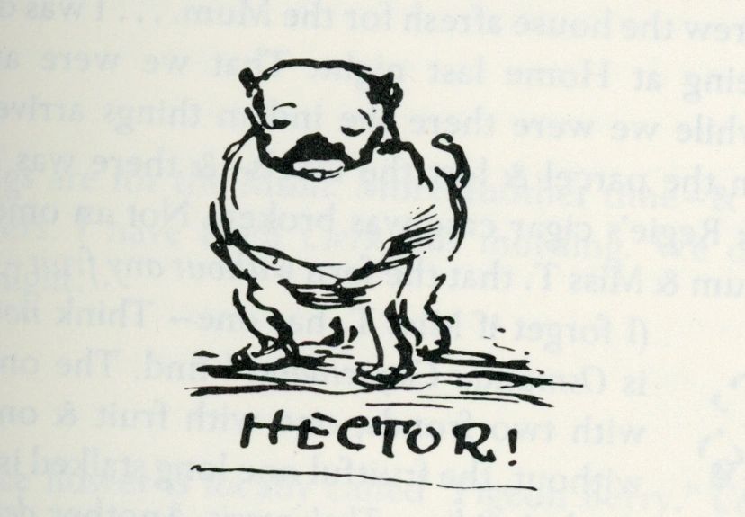 A sketch Juliana Horatia Ewing included in the letters she wrote while in Fredericton to her family in England of a canine character she met and loved named Hector.