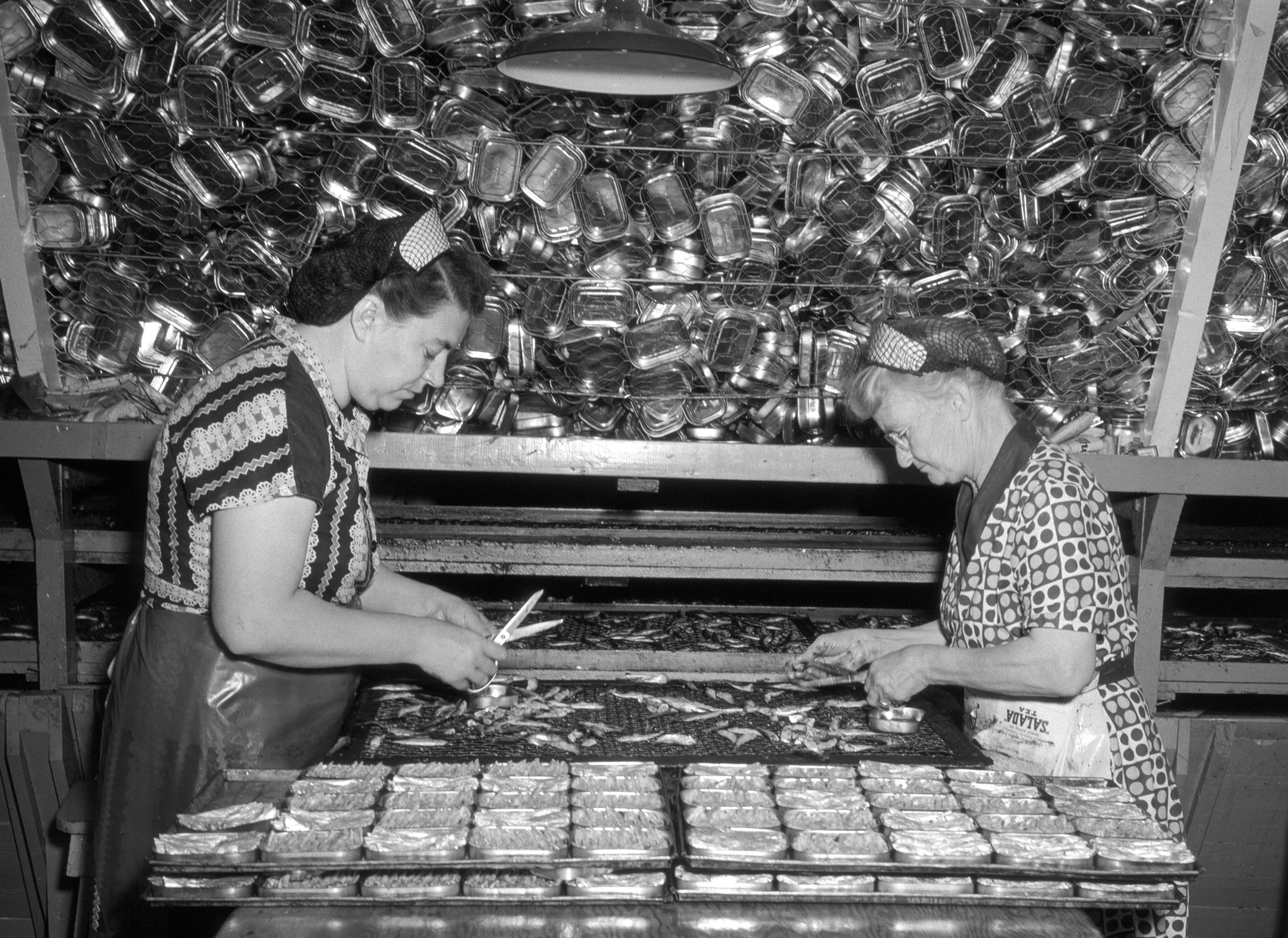 Proud handwriting on the back of this 1950s photo of two women packing sardines in the Connors Brothers factory in Blacks Harbour reads: "Today, Connors Bros. is Canada's leading canned fish producer!" During the Great Depression, two enterprising brothers used this very factory to lead Blacks Harbour to prosperity. (Provincial Archives of New Brunswick P93\CH\288)
