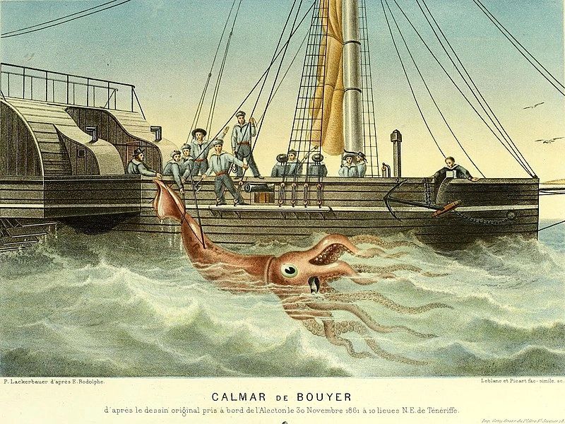 Alecton squid attack based on officers description 1865 by Alfred Fredol
