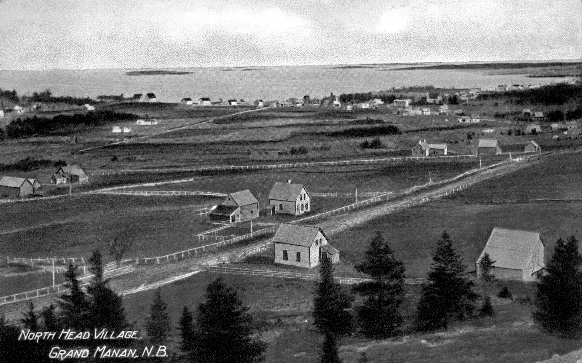 North Head Village on Grand Manan, circa 1900. (Provincial Archives of New Brunswick P8\985)