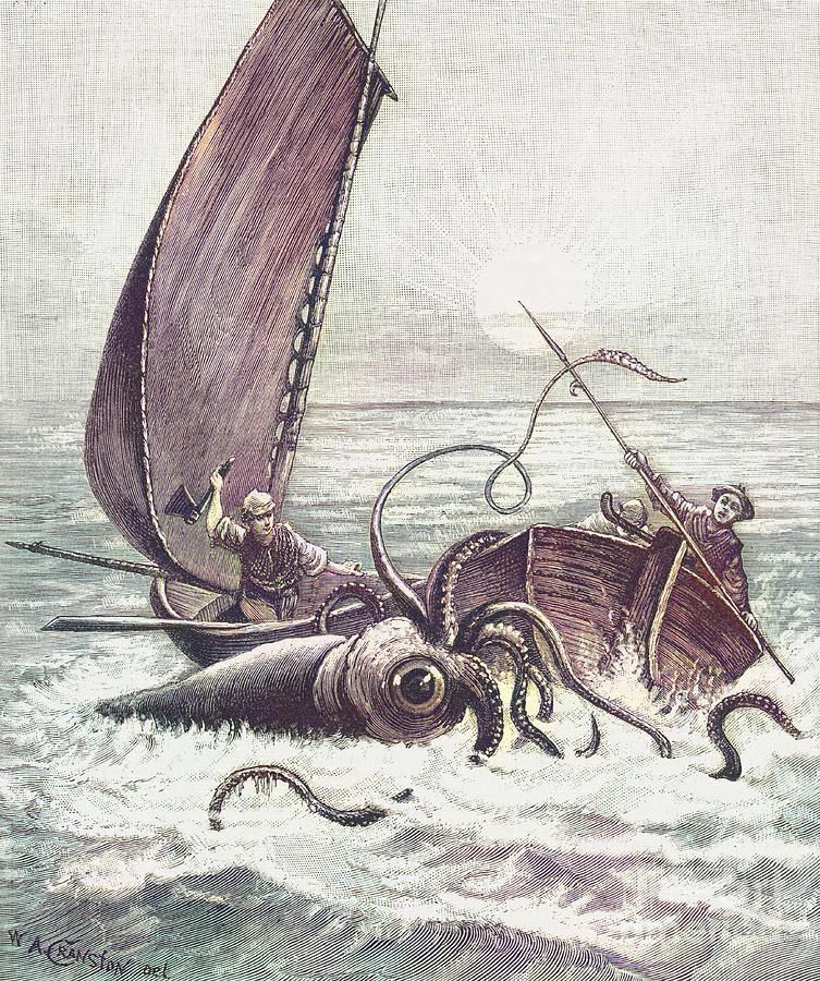 A 19th century engraving by W. A. Cranston depicting the first Newfoundland giant squid attack in Newfoundland.